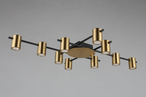 Потолочная люстра на штанге Aployt Elwisia APL.633.07.10