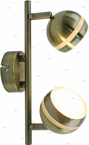 Спот Arte Lamp Venerd A6009PL-2AB