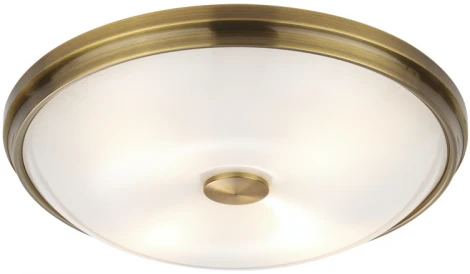 Настенно-потолочный светильник Odeon Light Pelow 4956/4 (220V, круглые)