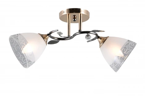 Потолочная люстра J-Light Alli 1078/2C