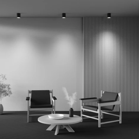 Потолочный светильник Maytoni Spark C094-GU10-B (220V, круглые)