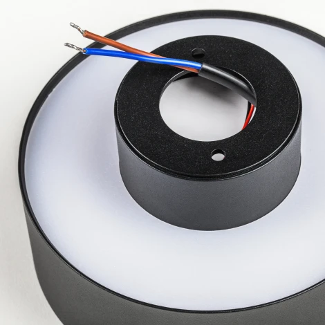 Накладной потолочный светильник Lightstar Acuto 215937 (LED, 220V, круглые)