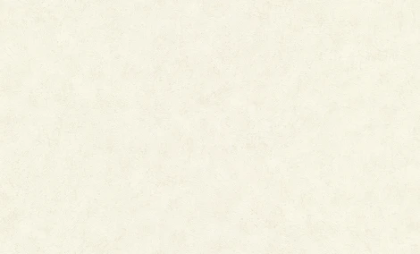 Обои виниловые Grandeco Universe 2023 US 1306 10,05 x 1,06 м