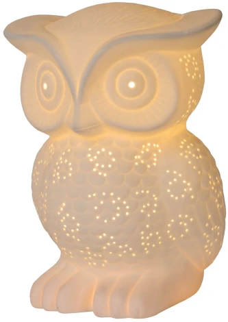 Интерьерная настольная лампа Lucide Owl 13505/01/31