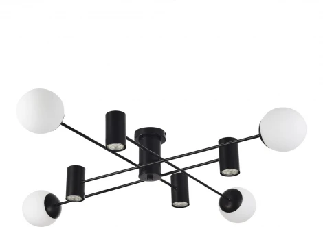 Потолочная люстра Evoluce Raito SLE1105-402-08 Черный/Белый GU10+E27 4+4*5+60W