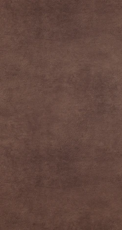 Обои виниловые BN International Curious BN 17922 10,05 x 0,53 м