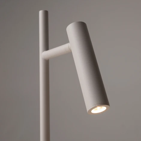 Торшер Maytoni Estudo Z010FL-L8W3K (LED, 220V, выключатель)