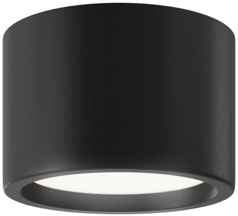 Накладной потолочный светильник Maytoni Hydra C090CL-10W4K-B (LED, 220V, круглые, IP44)