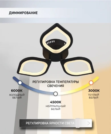 Потолочная люстра Seven Fires Lorea SF5019/3C-BK