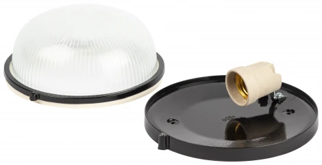 Настенно-потолочный светильник ЭРА НБП 03-60-001 в инд. упаковке НБП 03-60-001 черный