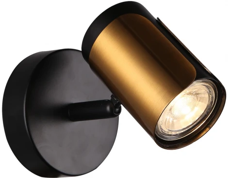 Спот Imex SP.033-11-52 (220V)