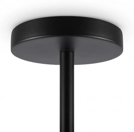 Потолочная люстра на штанге Enzo FR5201PL-06B (220V)