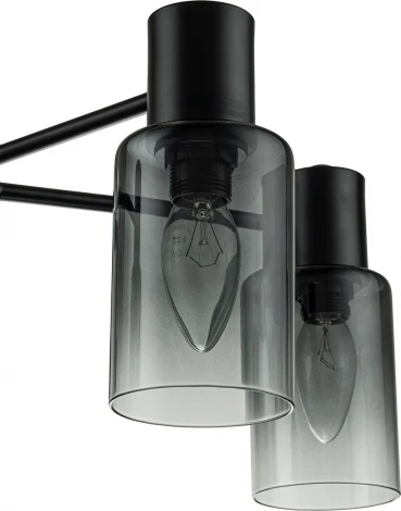 Потолочная люстра на штанге Diversity Escada 2120/5P E14*40W Black (220V)