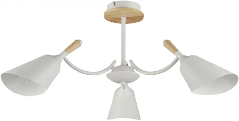 Потолочная люстра на штанге De City Дэла 635014703 (220V)