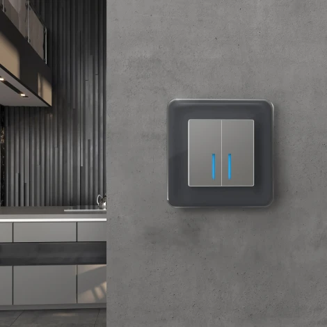 Рамка на 1 пост Elite (графит, стекло) Werkel W0012440 (a057878)