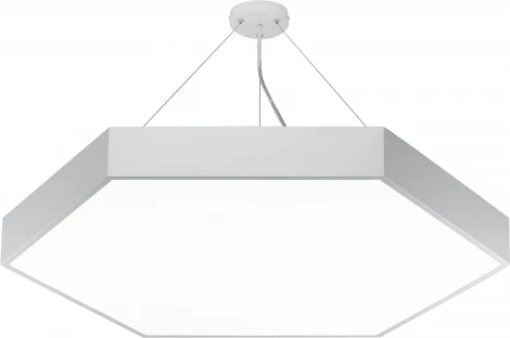 Подвесной светильник светодиодный ЭРА SPO-122-W-40K-066 d (220V, на тросе, IP40)
