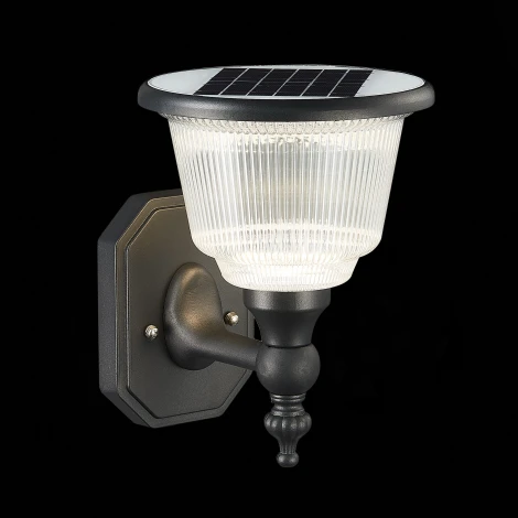 Настенный фонарь уличный ST Luce Solaris SL9502.401.01