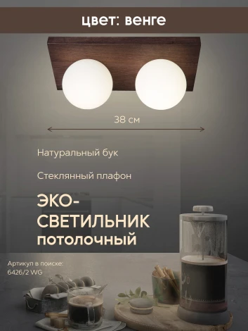 Потолочный светильник прямоугольный Мелодия Света SS1N 000036805