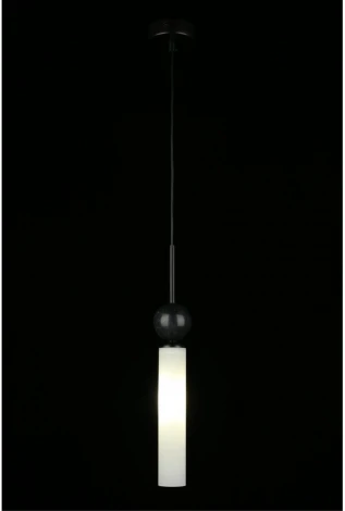 Подвесной светильник Aployt Gienia APL.339.06.01 (220V, на проводе, круглые)