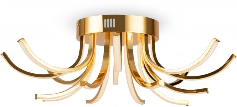 Потолочная люстра Freya Naomi FR6046CL-L50G