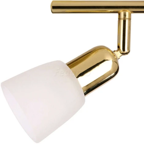 Спот на штанге Escada Debora 5039/2PA (220V, круглые)