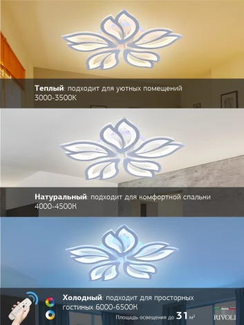 Потолочная люстра Rivoli Claudia 6087-105