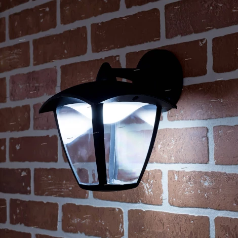 Настенный фонарь уличный Citilux CLU04W2 (LED, 220V, IP54)