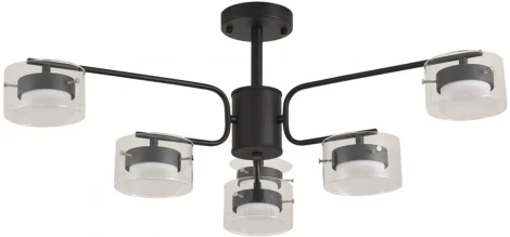 Потолочная люстра на штанге Lumion Natalina 8349/6C черный/прозрачный, металл/стекло LED GX53 6*7W 220V