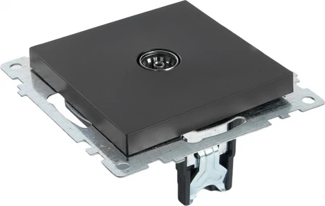 ТВ-розетка (черный) Stekker Катрин 39614