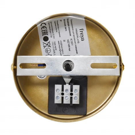 Подвесной светильник Freya Cosmic FR5457PL-01G