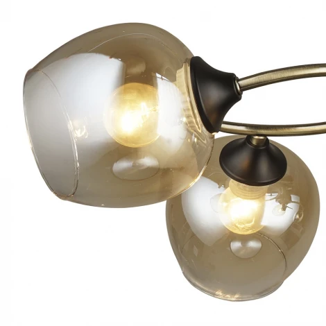 Потолочная люстра Wedo Light Belluno 66426.01.37.04