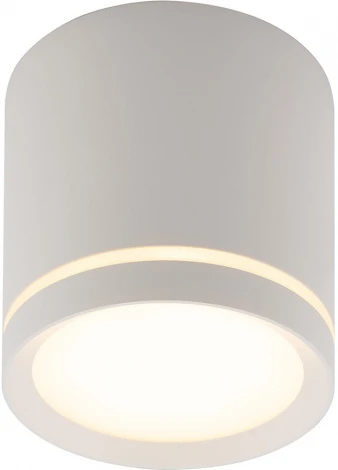 Накладной точечный светильник Denkirs DK401 DK4016-WH (LED, 220V, круглые)