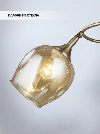 Потолочная люстра Wedo Light Krodo 66665.01.05.04