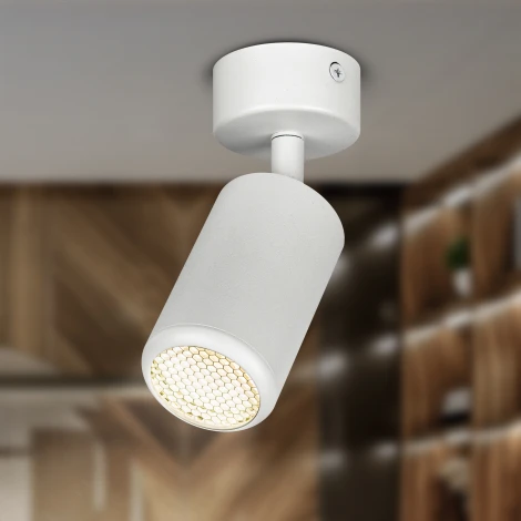 Спот ЭРА OL55 WH OL55 WH