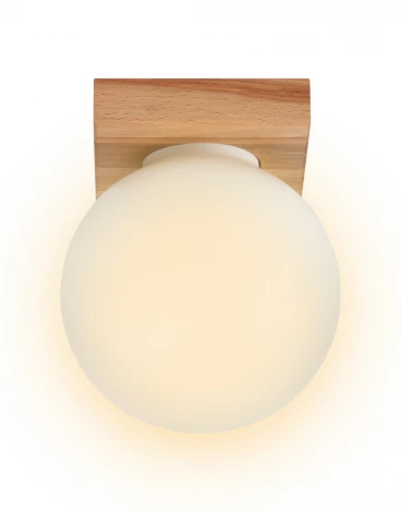 Потолочный светильник прямоугольный Мелодия Света SS1N 000036819