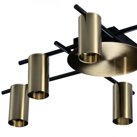 Потолочная люстра Loft IT Tribes 8120C-6 (220V)