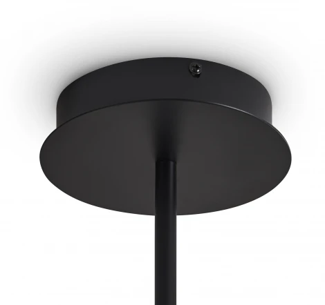 Потолочная люстра на штанге светодиодная Freya Ice FR5541CL-L30B (220V)