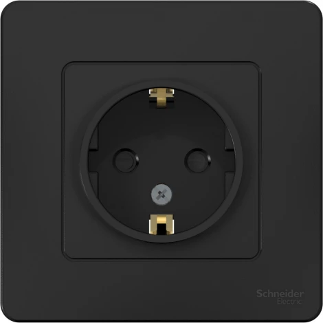Розетка встраиваемая с заземлением и шторками (антрацит) Systeme Electric Blanca BLNRS001116