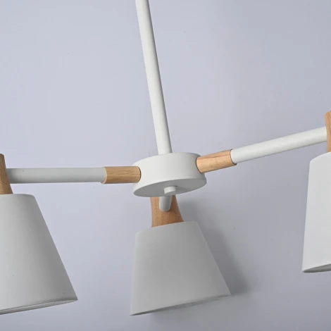 Потолочная люстра на штанге E27 Lu Carte LC-11-0065