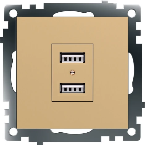 Розетка с USBх2 (золото) Stekker Катрин 49229