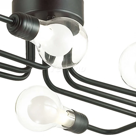 Потолочная люстра Lumion Nattu 3636/6C