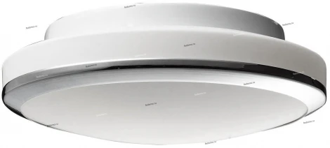 Настенно-потолочный светильник ST Luce SL501 SL501.502.02