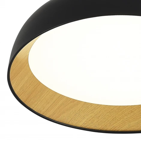 Потолочный светильник Evoluce Muse SLE1812-402-01 Черный, древесный/белая LED 1*36W 4000K