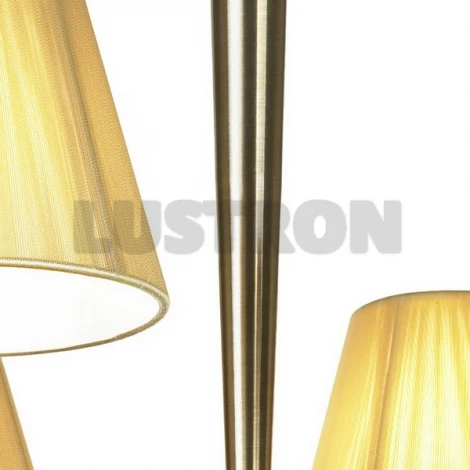 Потолочная люстра Lussole Usini LSA-5313-06