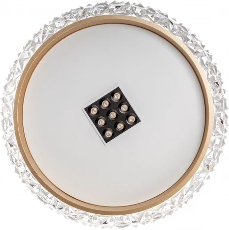 Потолочная люстра светодиодная с ДУ Ritter Galassia 51578 8