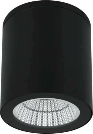 Уличные потолочные светильники Arte Lamp Torcular A1813PF-1BK (LED, 220V, круглые, IP65)