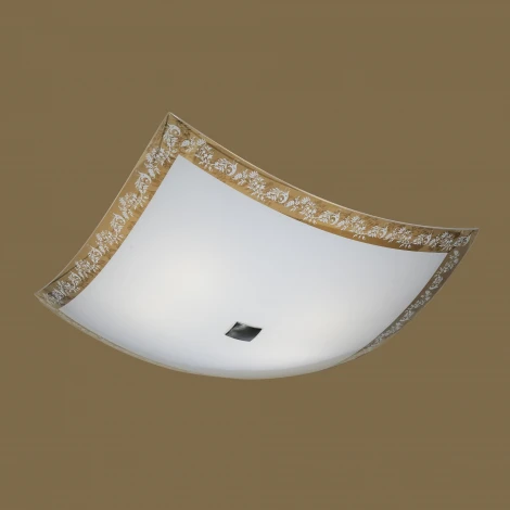 Потолочный светильник Citilux 932 CL932024