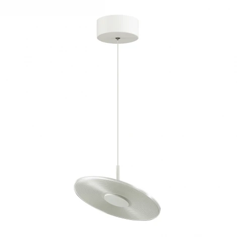 Подвесной светильник Odeon Light Ellen 4107/12L