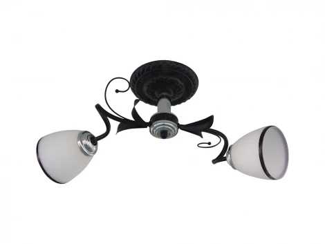 Потолочная люстра J-Light Gera 1520/2C