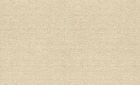 Обои виниловые Rasch Maximum XIV 949810 10 x 1,06 м